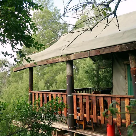 Fernhill Tented Treehouses Rheenendal Room photo
