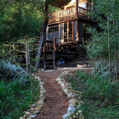 Fernhill Tented Treehouses Rheenendal Room photo