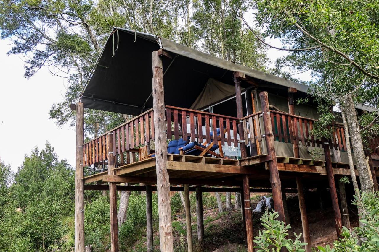 Fernhill Tented Treehouses Rheenendal