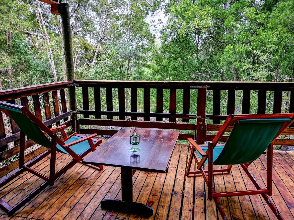 Fernhill Tented Treehouses Luxuszelt
