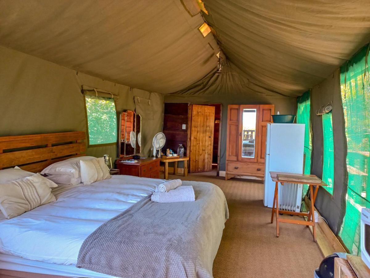 Luxuszelt Fernhill Tented Treehouses Rheenendal